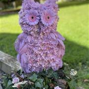 Lilac Owl
