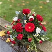 Red Posy