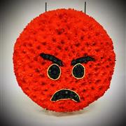 Angry Emoji 