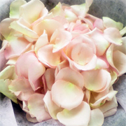 Basket of Rose Petals