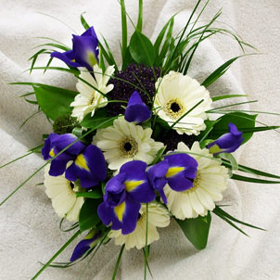 Whites and Purples