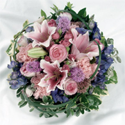 Posies