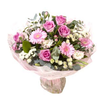 12 Grand Prix Roses