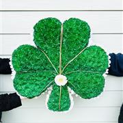 Shamrock