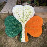 Irish Shamrock