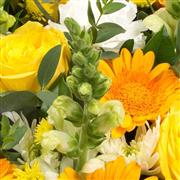 Florist Choice Basket Arr