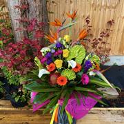 Colour Explosion
