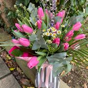 Pretty in Pink Tulips