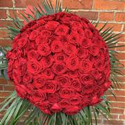 100 Red Roses 