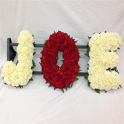 Carnation Based Letters