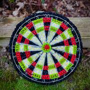 Dart Board