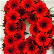 Gerbera Based Letters