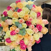 Six Dozen Best Roses