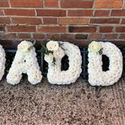 Daddy