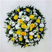 Large Yellow and White 