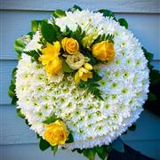 Posy Pad Bright