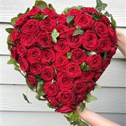 Red Roses