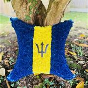 Barbados Cushion