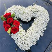 Gyp Heart