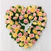 Stunning Soft Heart