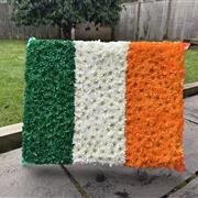 Irish Flag