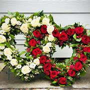 Red And White Rose Open  Heart
