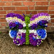 Cool Shades Butterfly  