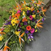 Birds of Paradise Spray