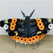 Red Admiral Butterfly 