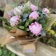 Just Peonies 