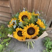 ECO Sunflowers