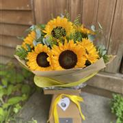 Just Sunflowers 
