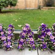 Purple Nan