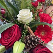 Christmas Cut Flowers