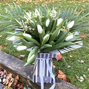 White Tulips