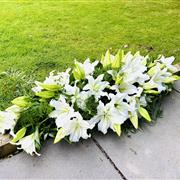 Lily Casket Tribute 
