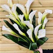 Large White Calla Lily Sheaf