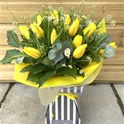 Yellow Tulips