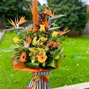 Autumn Explosion