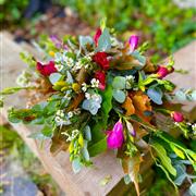 Mixed Freesia Basket