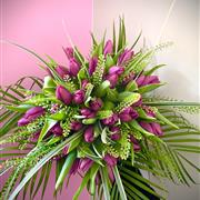 Your Colour Choice 50 Tulip Bouquet 
