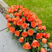 Orange Rose Tribute