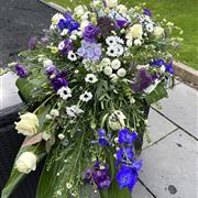 Purple And White 