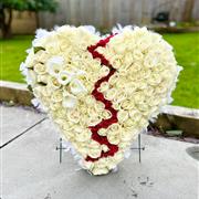 Stunning Broken Heart
