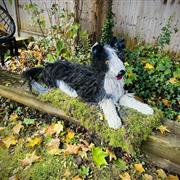 3-D Collie Dog
