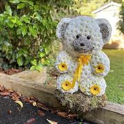 Sitting Bear 3-D