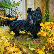 3-D Westie Dog