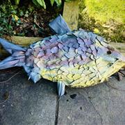 Bream Fish