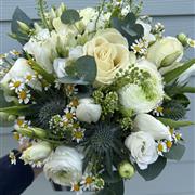 White and Cream Spring