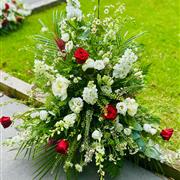 Red And White Arr